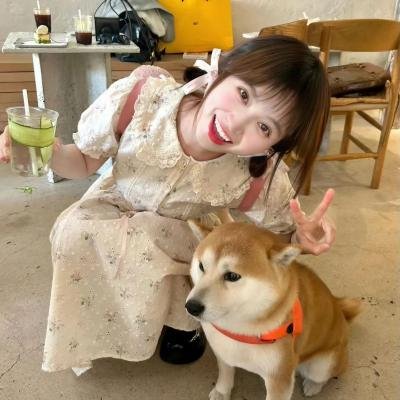 肖叮叮的剿匪记